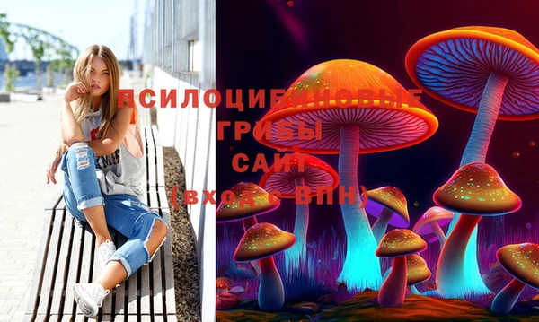 дживик Белоозёрский