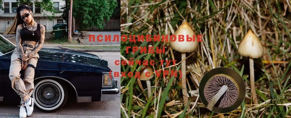 марки nbome Беломорск