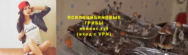 дживик Белоозёрский